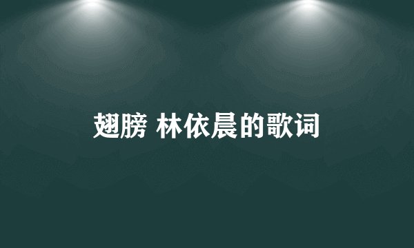 翅膀 林依晨的歌词