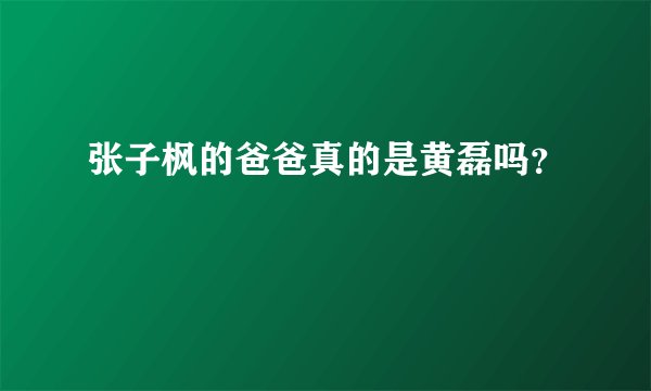 张子枫的爸爸真的是黄磊吗？