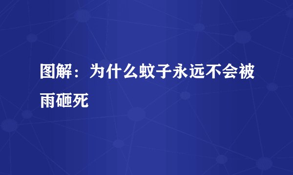 图解：为什么蚊子永远不会被雨砸死