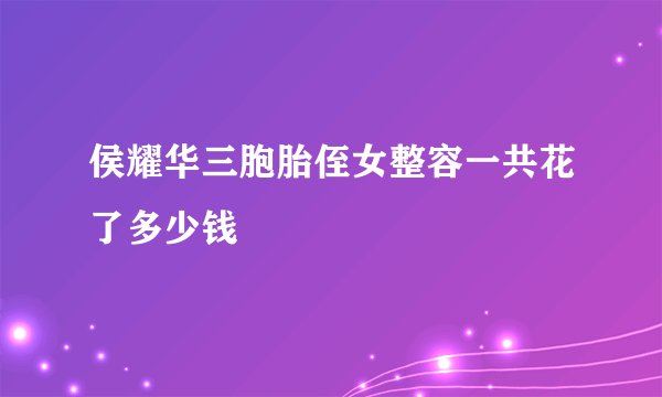 侯耀华三胞胎侄女整容一共花了多少钱