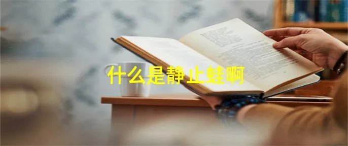 什么是静止蛙啊
