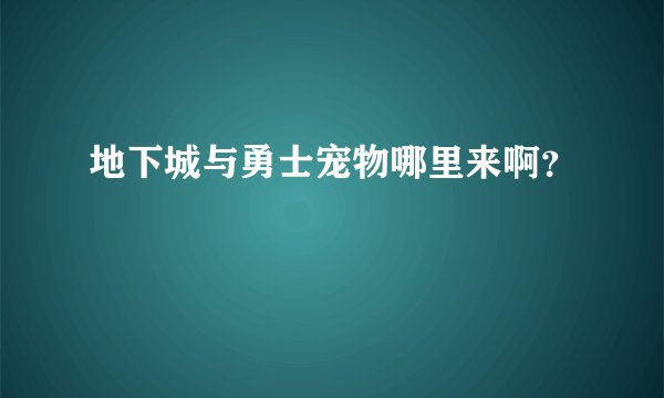 地下城与勇士宠物哪里来啊?