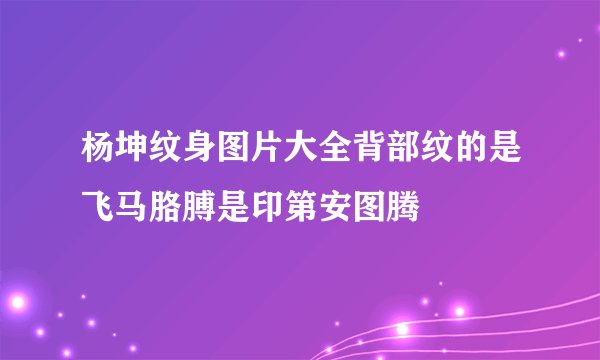 杨坤纹身图片大全背部纹的是飞马胳膊是印第安图腾