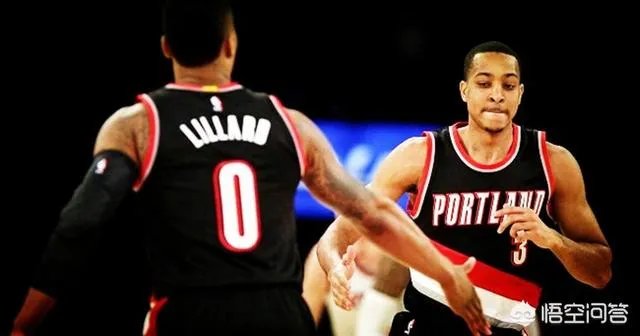 NBA国王队能和开拓者队在2018-2019赛季季后赛交手吗?对此你有什么看法?