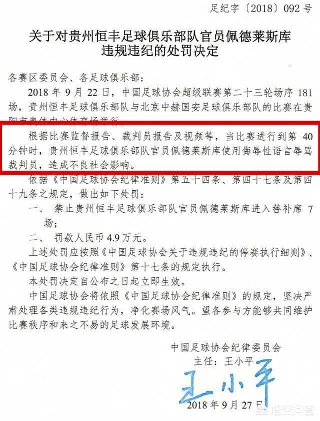 佩特莱斯库因辱骂裁判被禁赛7场，足协处罚是否过重？你怎么看？