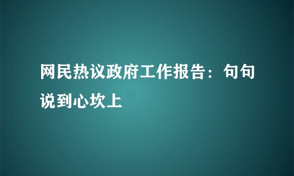 网民热议政府工作报告：句句说到心坎上