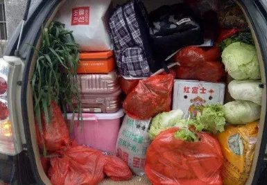 母亲摘百斤柿子送儿子返程,后备箱除了东西还能装什么?