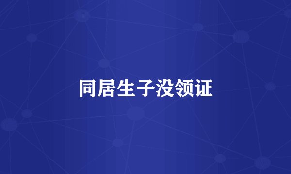 同居生子没领证