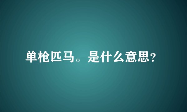 单枪匹马。是什么意思？