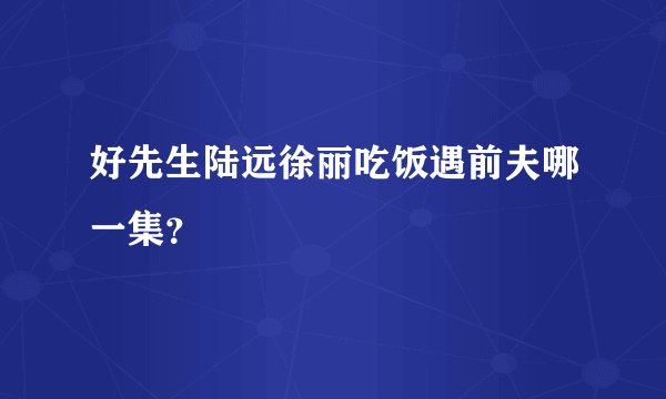 好先生陆远徐丽吃饭遇前夫哪一集？