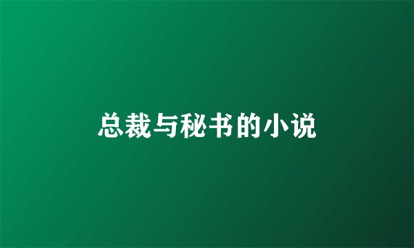总裁与秘书的小说