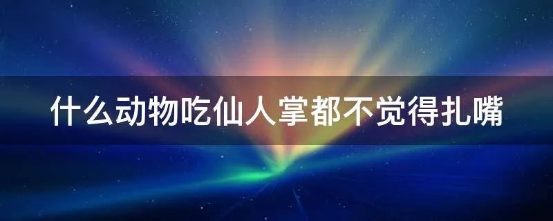 什么动物吃仙人掌都不觉得扎嘴