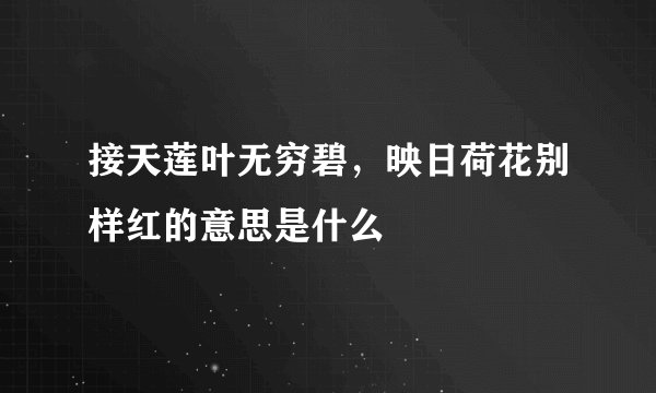 接天莲叶无穷碧，映日荷花别样红的意思是什么