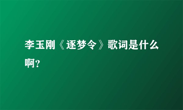 李玉刚《逐梦令》歌词是什么啊？