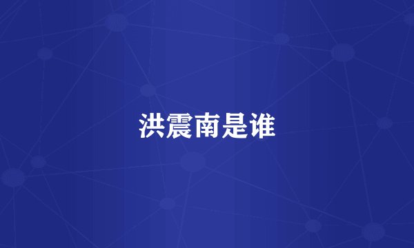 洪震南是谁