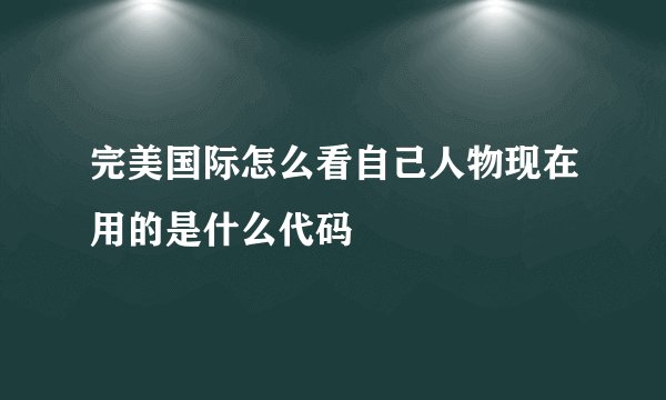 完美国际怎么看自己人物现在用的是什么代码
