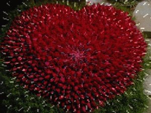 有没有2018年新年祝福大全?