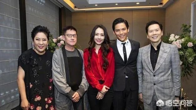 为什么有人说郭碧婷不喜欢向佐？