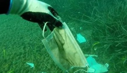 去年超15亿只废弃口罩流入海洋,给海洋生物造成了怎样的毁灭性伤害?