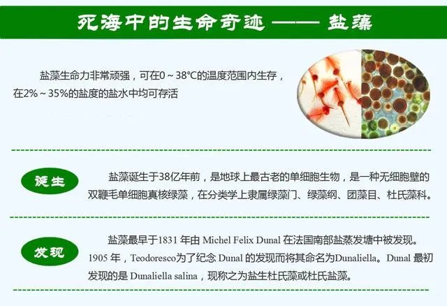 印度5万年前的陨石坑湖,一夜之间突然变红,预示了什么征兆?