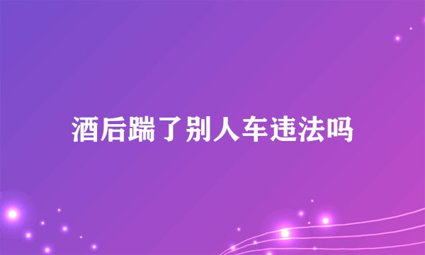 酒后踹了别人车违法吗