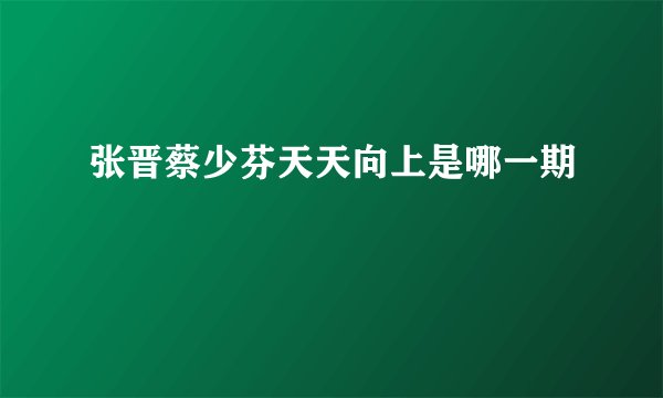 张晋蔡少芬天天向上是哪一期