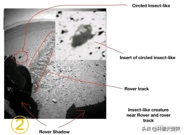昆虫学家声称在火星上有重大发现,其理由是否充分?
