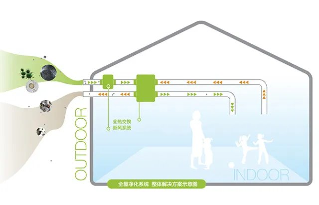 家里的空气污染严重，老师傅这样治理能多活20年