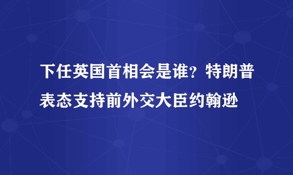 下任英国首相会是谁?特朗普表态支持前外交大臣约翰逊