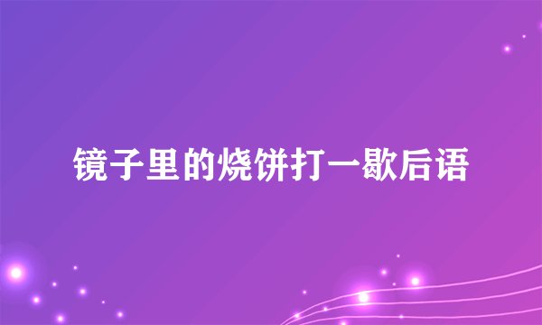 镜子里的烧饼打一歇后语