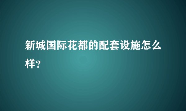 新城国际花都的配套设施怎么样?