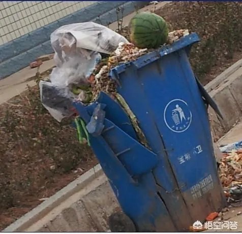 如果人常不在家住还要交卫生费吗