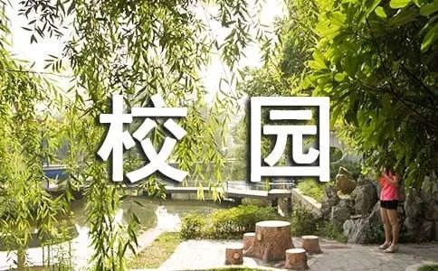 小学校园故事征文