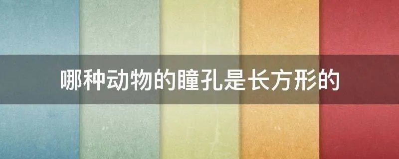 哪种动物的瞳孔是长方形的