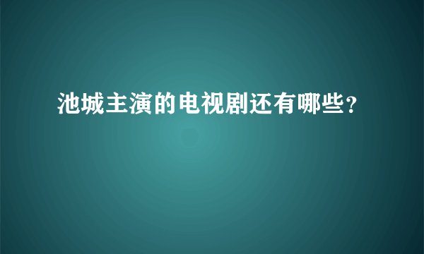 池城主演的电视剧还有哪些?
