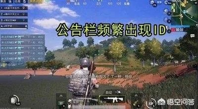 吃鸡主播在直播游戏的过程中,为什么背后没有任何放黑枪呢?是开挂了还是技术好?