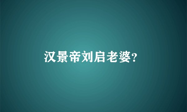 汉景帝刘启老婆?