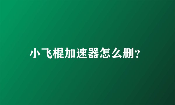 小飞棍加速器怎么删？