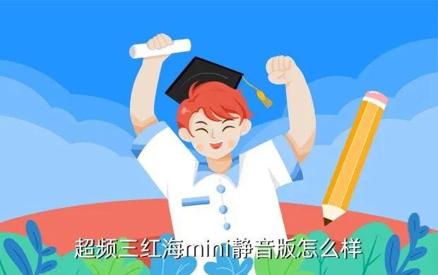 红海mini，红海 标准版与迷你版有什么区别