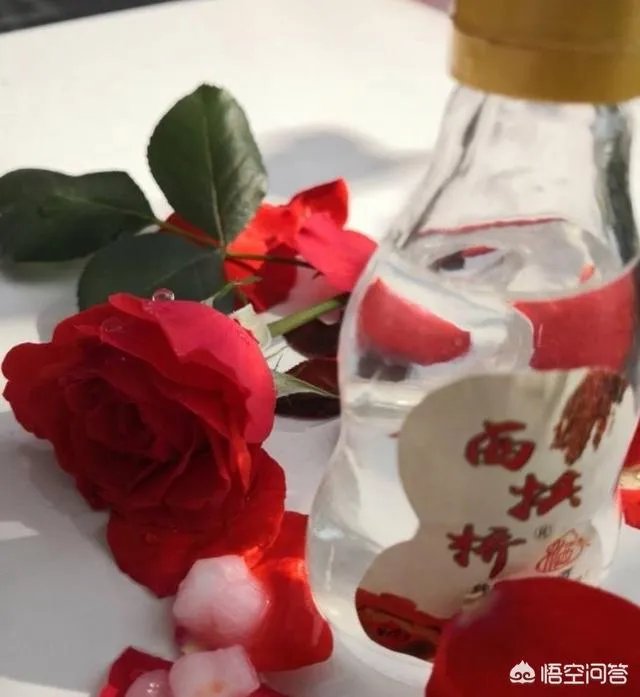 在你们本地,返乡农民工回家乡创业有哪些典型的成功人士?他们创业有哪些经验值得学习?