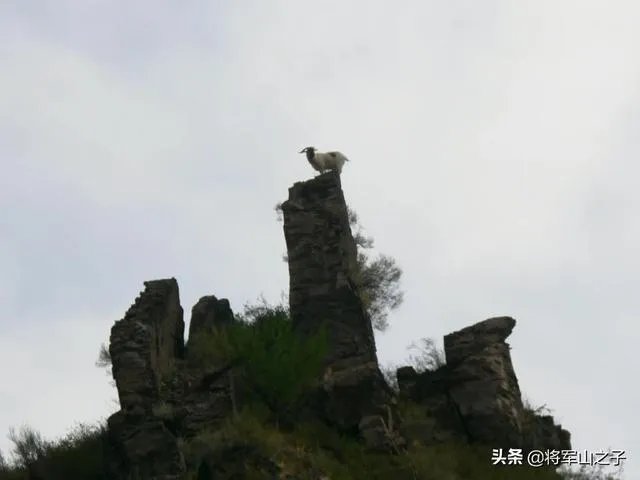 生活摄影艺术