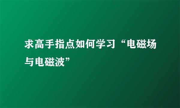 求高手指点如何学习“电磁场与电磁波”