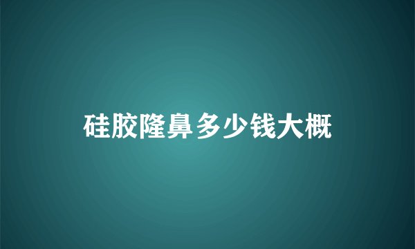 硅胶隆鼻多少钱大概