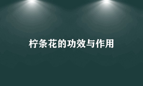 柠条花的功效与作用