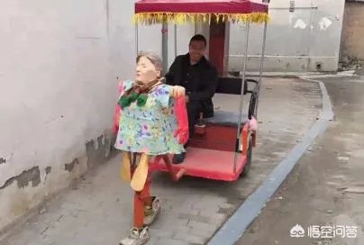 如何看待濮阳农民花10万造机器人拉车？