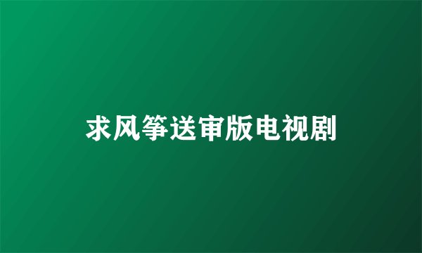 求风筝送审版电视剧
