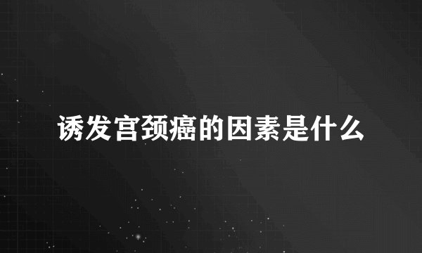 诱发宫颈癌的因素是什么
