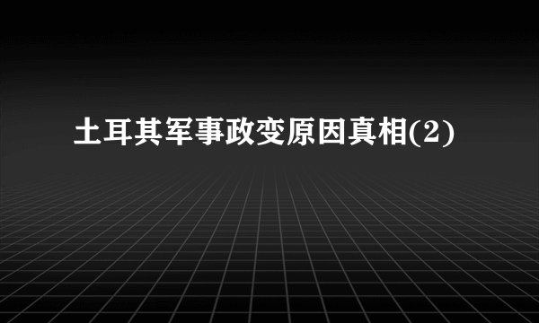 土耳其军事政变原因真相(2)