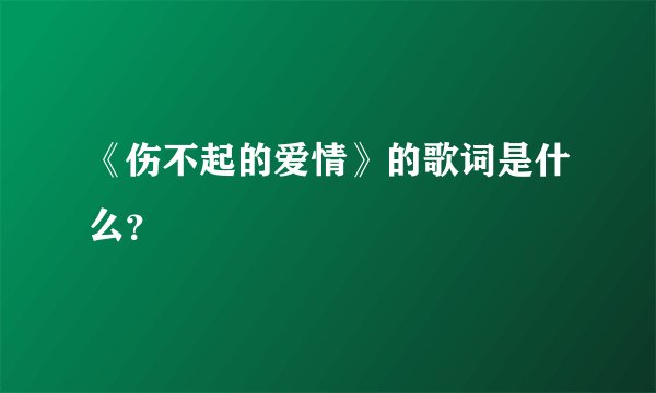 《伤不起的爱情》的歌词是什么？