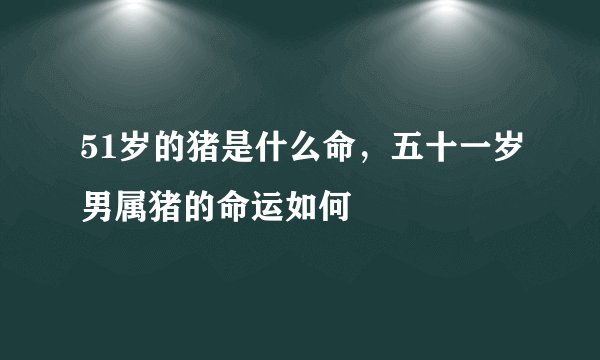 51岁的猪是什么命，五十一岁男属猪的命运如何